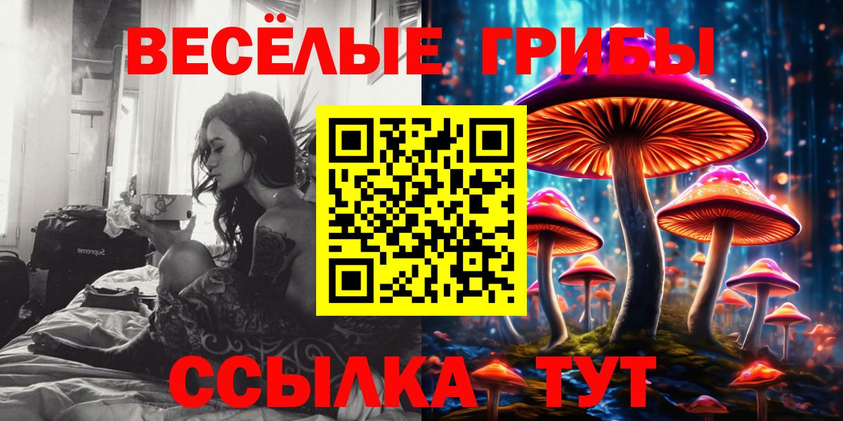 Кореновск  Галлюциногенные грибы прущие грибы  Вход с VPN 